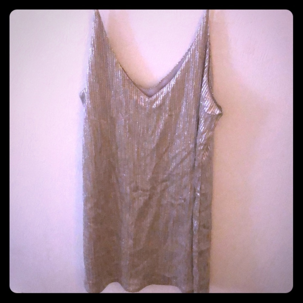 Amuse society dress